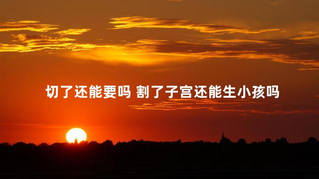 切了还能要吗 割了子宫还能生小孩吗